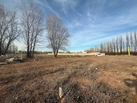 Terreno en Venta en Centenario, USD 35.000