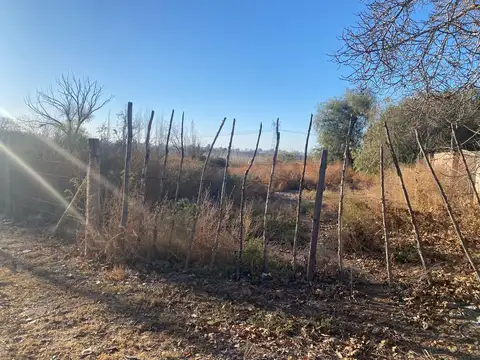 LAMADRID, SAN ROQUE, MAIPU