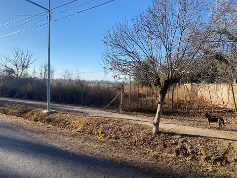 LAMADRID, SAN ROQUE, MAIPU