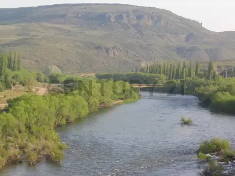 VENTA CAMPO 4 HECTAREAS ZONA ALUMINE. SAN MARTIN DE LOS ANDES