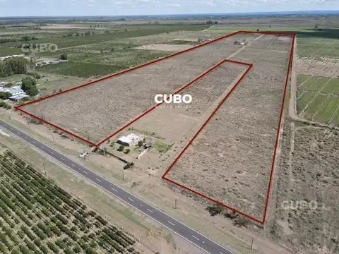 CUBO Vende 23 hectareas sobres Asfalto y pozo Santa Rosa Mendoza.