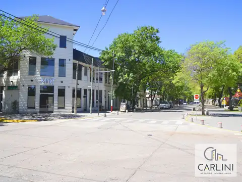 Local en Alquiler Galeria