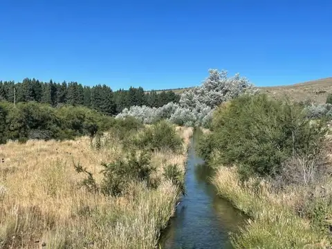 Terreno en Venta de 2006,0 m2