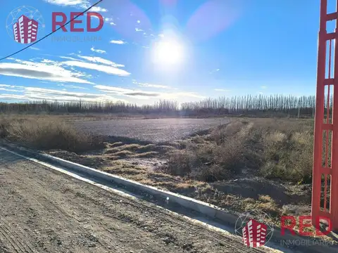 Terreno en Alquiler 74  mts Fondo