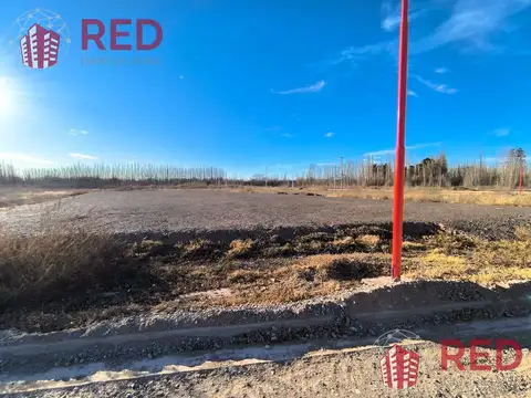 Terreno en Alquiler de 2450,0 m2