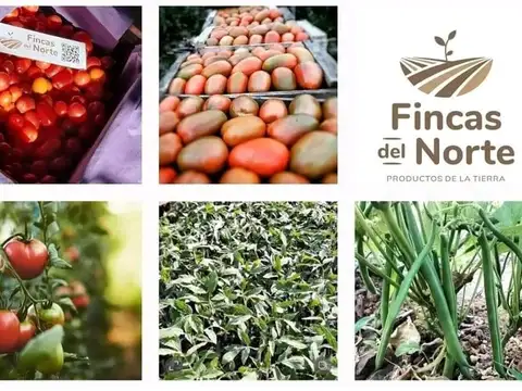 FINCA EN VENTA – COLONIA SANTA ROSA – aprox 28 HA – U$S 15.000 / ha