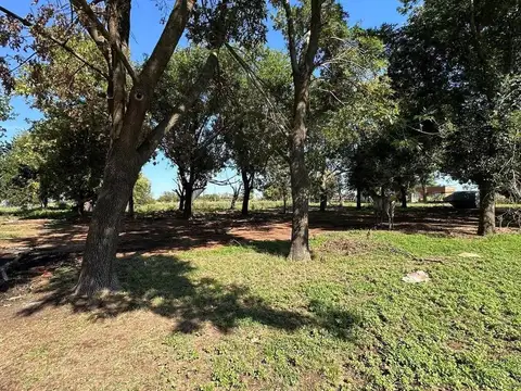 Terreno en Venta de 300,0 m2