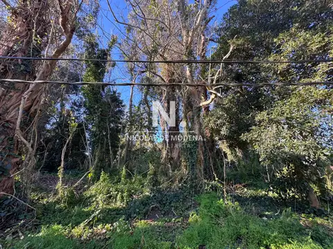 Lote en Barrio Golf Punta del Este en Venta