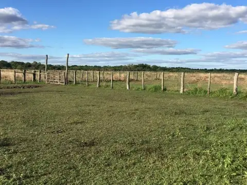 Campo en Venta Ganadero