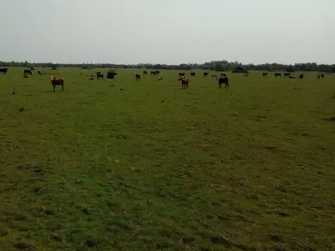 Campo en Venta de 4.170  ha