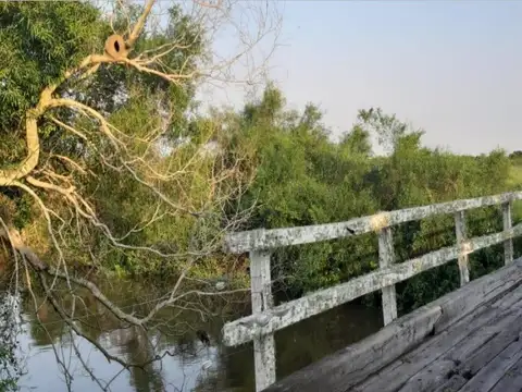 Campo en Venta de 4.170  ha