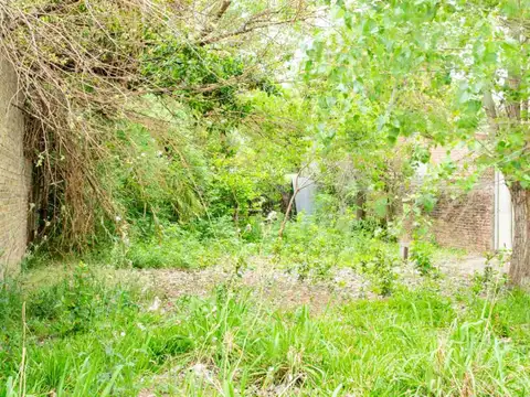 Belisario Roldán 1100