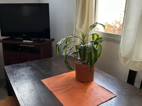 Departamento en Alquiler Temporal de 2 ambientes