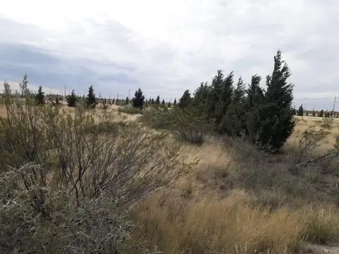 Terreno en Venta de 2657,0 m2