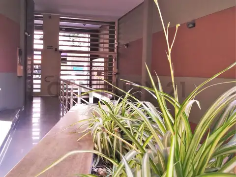 Ciudad de Mendoza -Departamentos dúplex en Venta