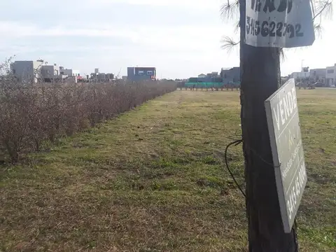 Terreno en Venta de 730,0 m2