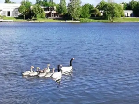 Terreno en Venta en Santa Barbara, USD 1