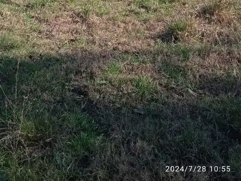 Terreno en San Javier