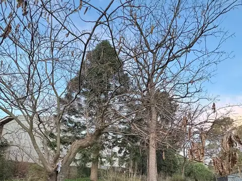 Terreno en venta en Melchor Romero