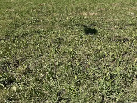 132 e/ 505 y 506 , Piso 0