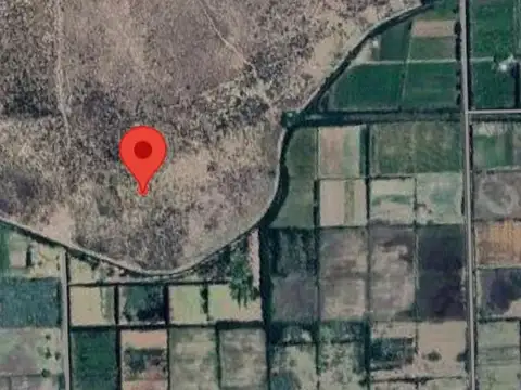 15 Hectareas en blanco, localidad de Cervantes.