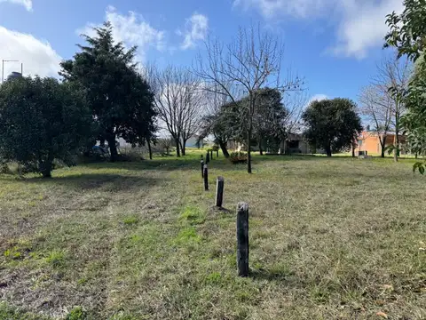 Vendo Casa Quinta en Concepción del Uruguay, Entre Ríos