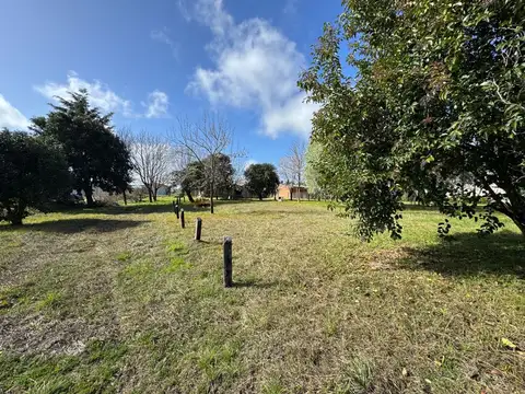 Vendo Casa Quinta en Concepción del Uruguay, Entre Ríos
