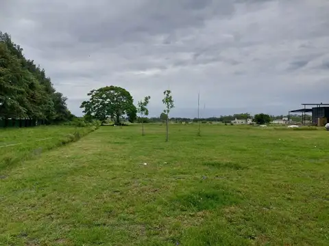 Terrenos y lotes en Venta en La Plata