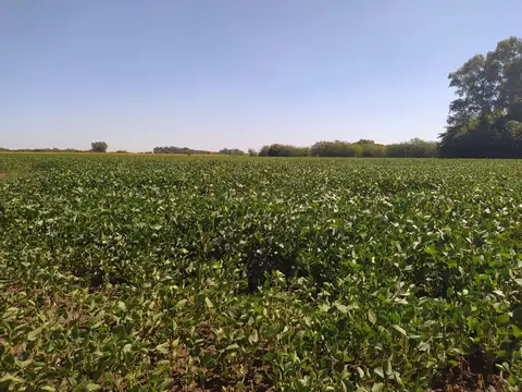 Campo en Venta de 10  ha