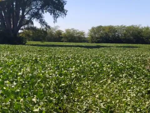 Campo en Venta con Alambrado