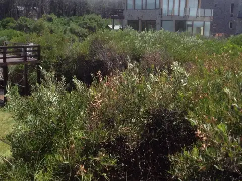 39 y Avenida Costanera