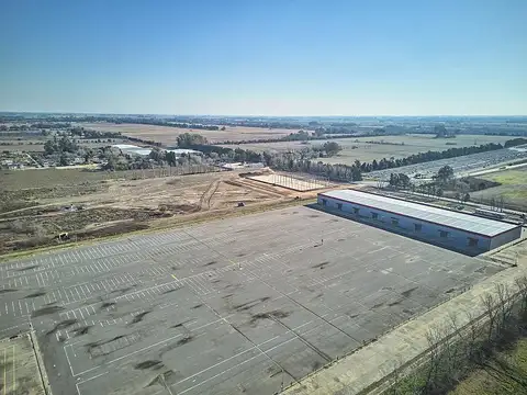 Zarate- Camino de la Costa Brava al 2000