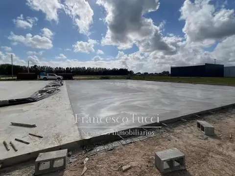 Laguna Rosario  1700