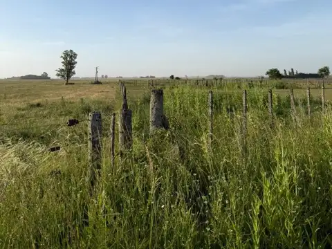 FRACCION DE CAMPO EN EXCELENTE ENTORNO