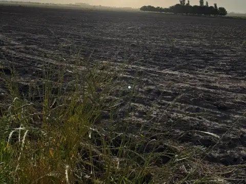 Camino Vecinal Del Yameo