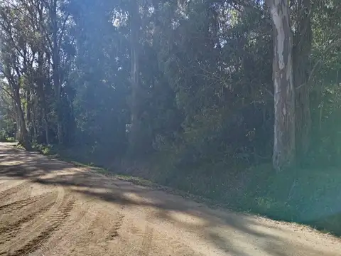 Terreno Sauce de Portezuelo