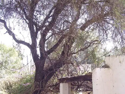 Vendo excelente propiedad en el CENTRO de San Marcos Sierras – Ideal emprendimiento