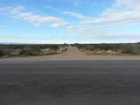 Ugarteche - mts Picada a Tupungato