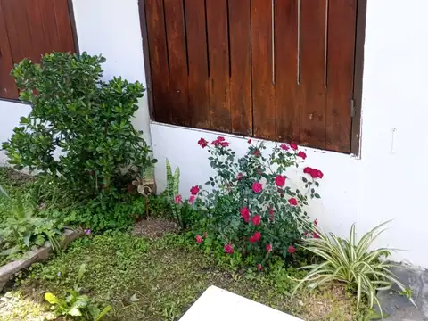 Depto Tipo Casa en Alquiler de 2 ambientes