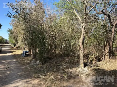 Terreno en Venta de 1509,0 m2