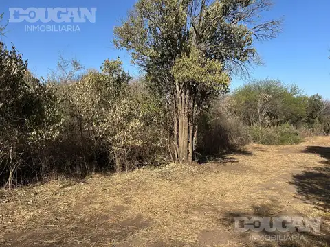 Terreno en Venta 50  mts Fondo