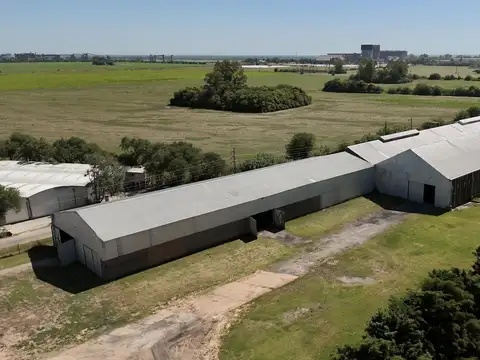 Galpon en Alquiler en Alvear, USD 7.000