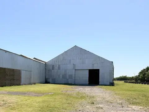 Galpon en Alquiler 23  mts Frente