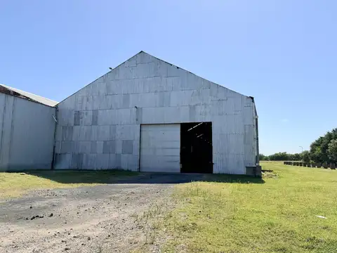 Galpon en Alquiler 101  mts Fondo