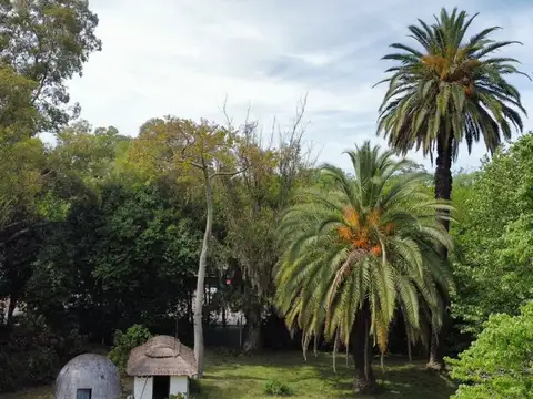 Terreno en Venta de 2542,0 m2