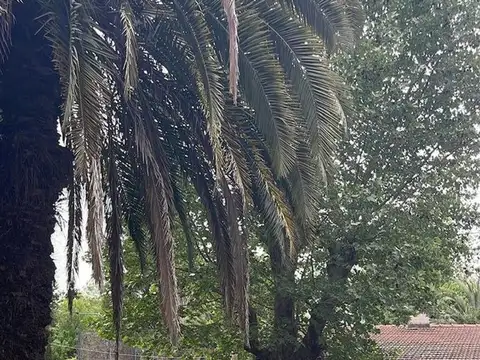 Terreno en Venta de 2542,0 m2