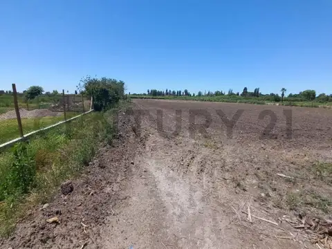 finca , rodeo de la cruz , km8