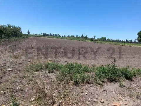 Callejón Escorihuela , Piso 0