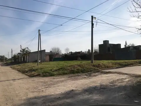 MARCHINI y BICENTENARIO