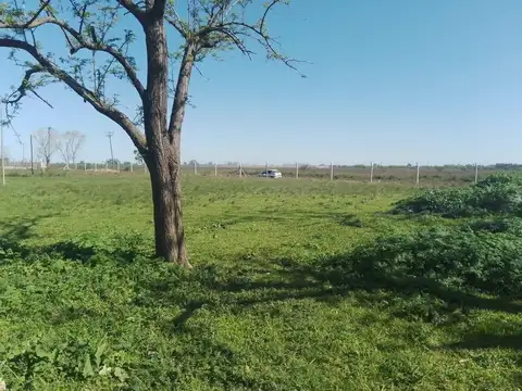 Terreno en Venta 42  mts Fondo